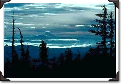 Tree Silhouettes With Mountain Vista