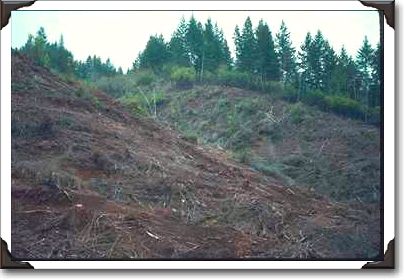 Douglas County, Hills After Logging Clearcut