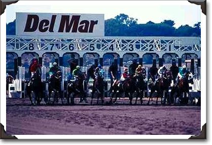 Horses at the starting gate, Del Mar Racetrack