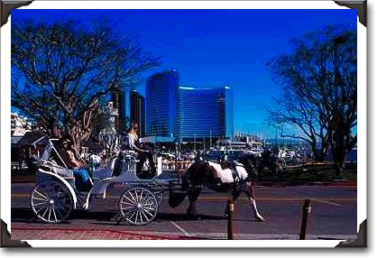 Horse-drawn carriage, Marina Park