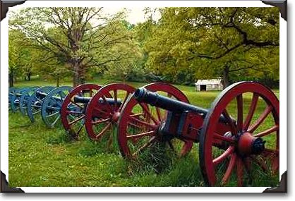 Cannons, Valley Forge