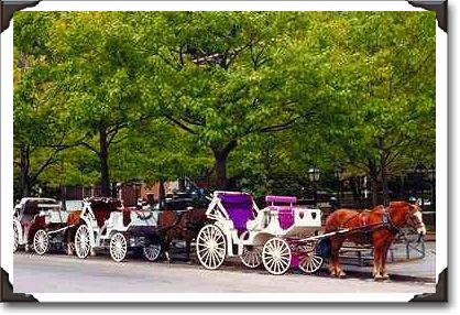 Horse-powered vehicles, Independence Mall