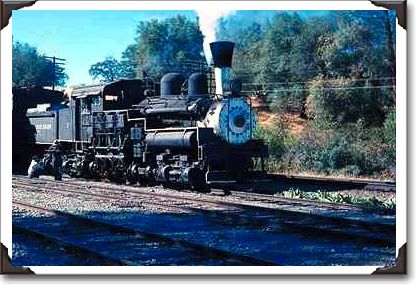 Feather River Ry, Shay locomotive #3, near Oroville, CA