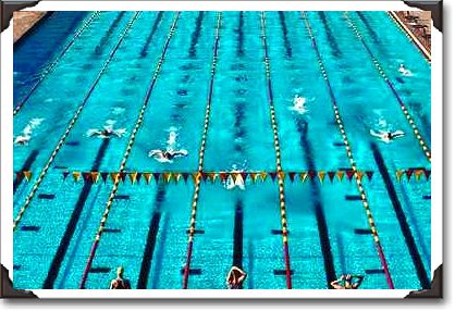 Arizona State University swim team