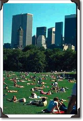 Relaxing in Central Park, New York City