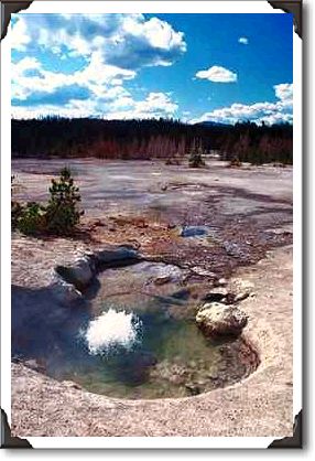Geyser in Yellowstone National Park, Wyoming