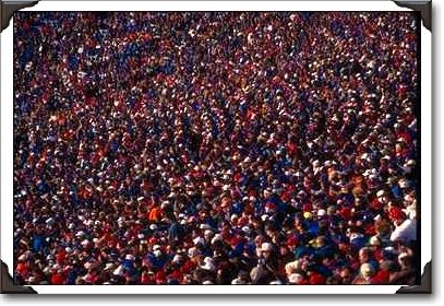 Crowd scene at Buffalo Bills football game, New York