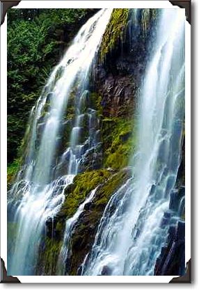 Lower Proxy Falls, Willamette National Forest, Oregon