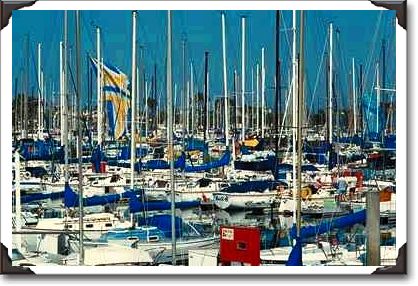 Yachts in marina, Newport, California