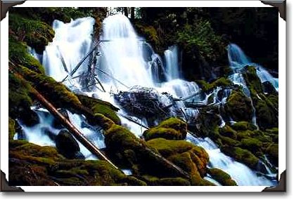 Clearwater Falls, Umpqua National Forest, Oregon