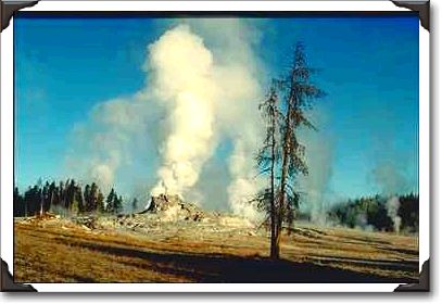 White steam, Upper Geyser Basin, Yellowstone National Park