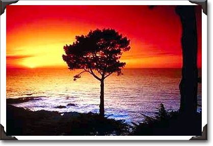 Sunset on the famous Monterey Peninsula, Monterey, California