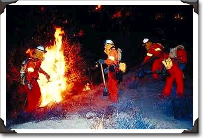 Working fire line, Ventura County, California