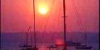 Sunset on sailboats, San Diego Harbor, California