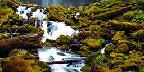 Lower Proxy Falls, Willamette National Forest, Oregon