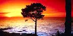 Sunset on the famous Monterey Peninsula, Monterey, California