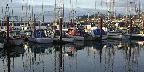 Newport, Oregon fishing boat harbor.
