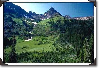 Green Alpine Hillside