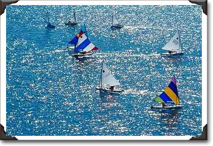 Miami's annual regatta