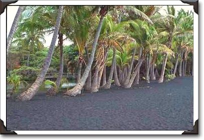 Black sand beach at Punaluu