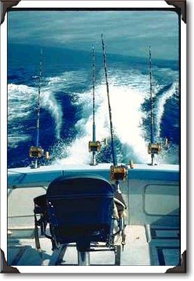 Big game fishing, charter boat off Kona coast