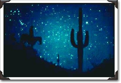 Desert night rider, Arizona