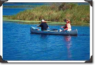Canoeing, Myakka River State Park, Florida