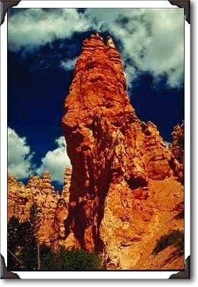 Red pinnacles, Red Canyon, Utah