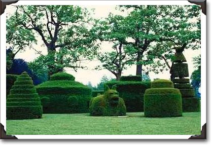 Cave yews in topiary garden, Longwood Gardens, PA