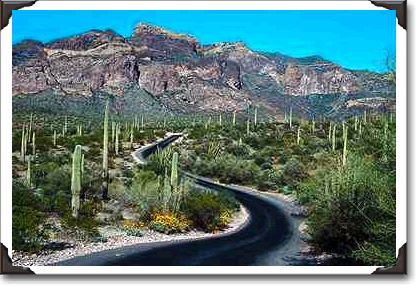 Ajo Mountains, Organ Pipe Cactus National Monument, Arizona