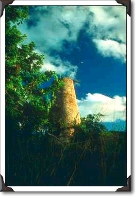 Sugar mill ruins, St. Croix