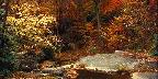Autumn scene, Bear Run Stream, Pennsylvania