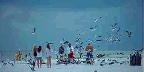 Feeding the seagulls on the beach, Sarasota