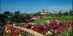 State capitol, flower gardens, Phoenix, Arizona