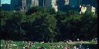 Relaxing in Central Park, New York City