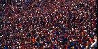 Crowd scene at Buffalo Bills football game, New York