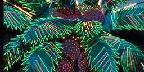 Neon palm tree