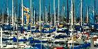 Yachts in marina, Newport, California