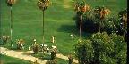 O'Donnell private golf course, Palm Springs, California