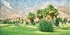 Golf course, Palm Springs, California