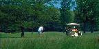 Golfing at Shorewood Country Club, Dunkirk, New York