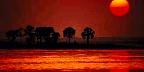 Sunset over tropical island, St. Joe, Florida