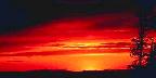Sunset near Cedar Breaks National Monument, Brian Head, Utah