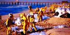 Oil spill clean up, Huntington Beach, California